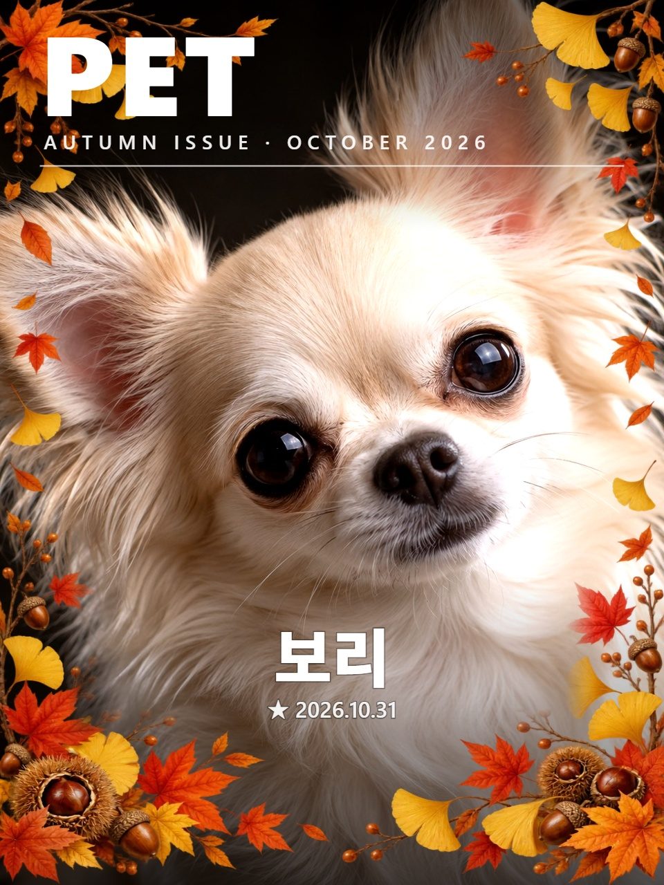 가을 낙엽 테두리와 PET 글자가 들어간 매거진 표지 사진