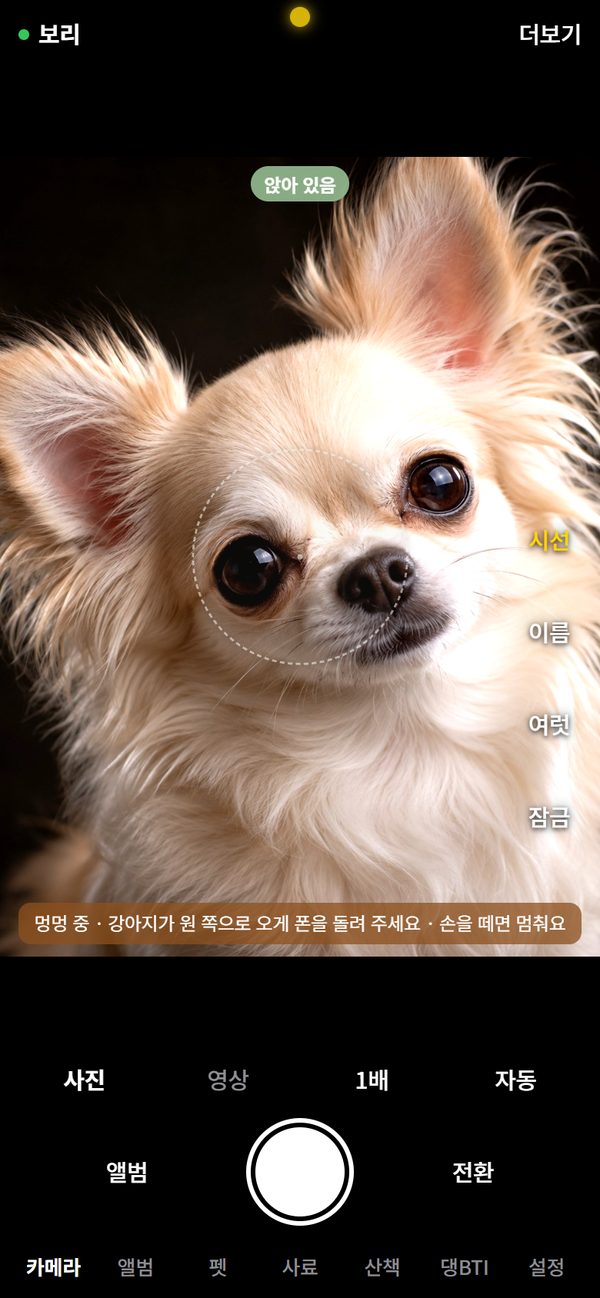 시선 버튼을 누른 카메라 화면, 멍멍 중 안내