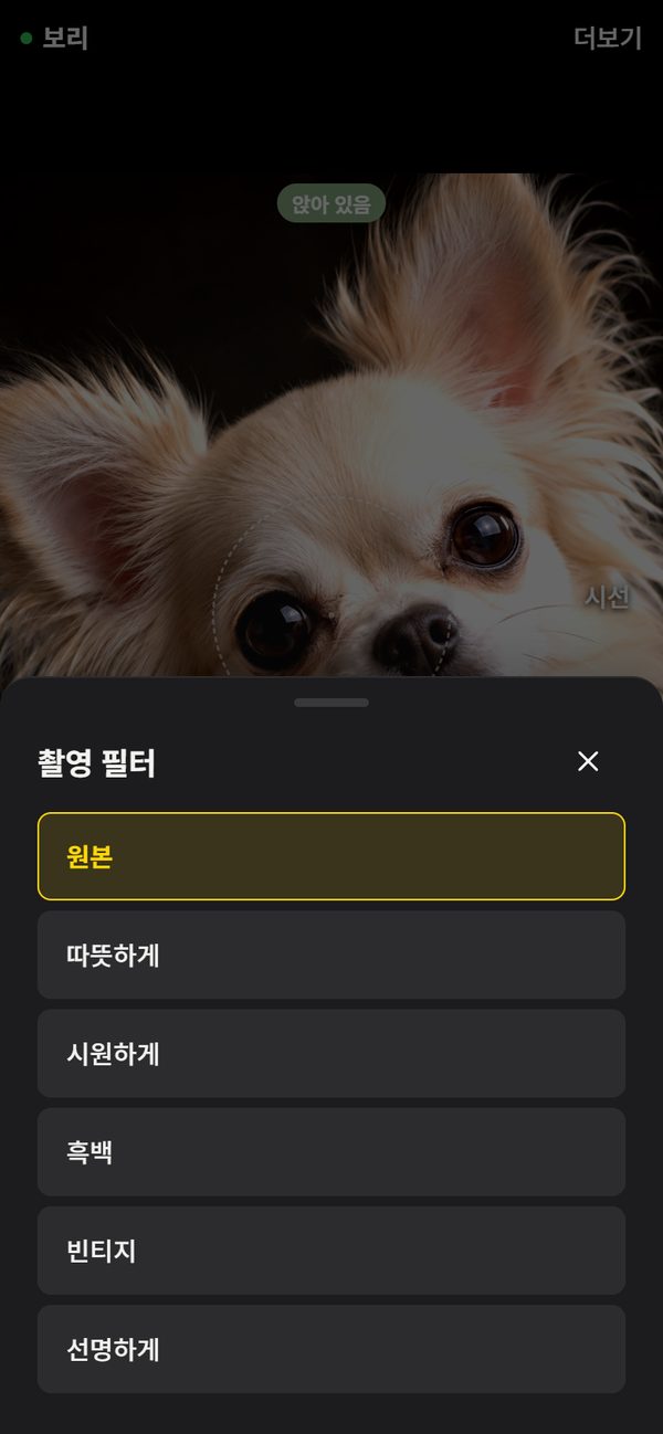원본, 따뜻하게, 시원하게, 흑백, 빈티지, 선명하게 필터 목록