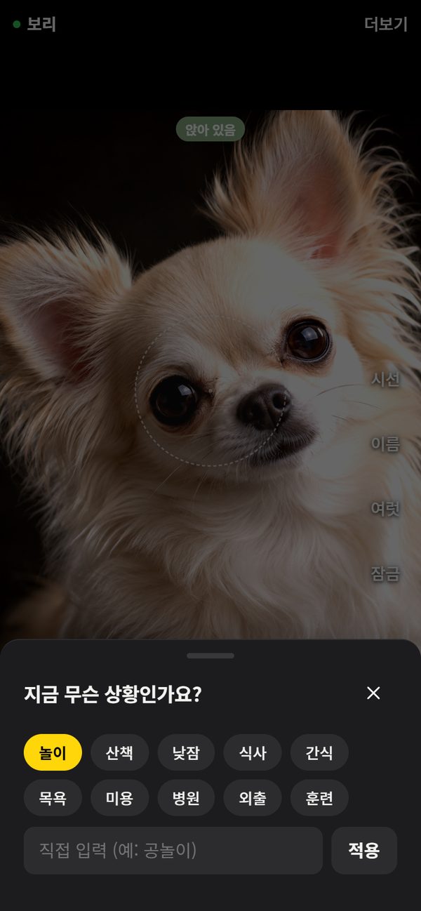 놀이, 산책, 낮잠, 식사, 간식, 목욕, 미용, 병원, 외출, 훈련 상황 고르기