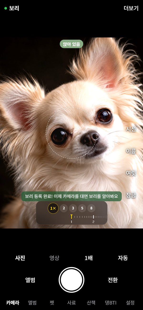 배율 동그라미와 눈금 바퀴가 보이는 카메라 화면