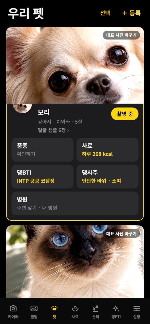 보리와 나비 프로필 카드